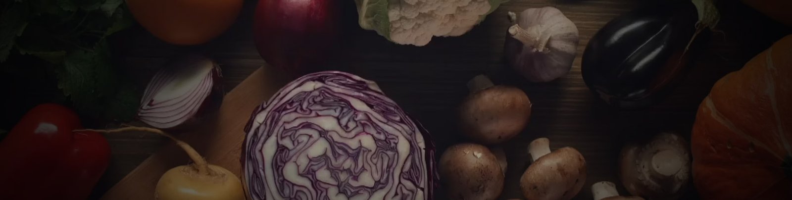 banner02.jpg