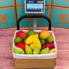 20-Pounds-Tropical-Mangos-1-1.webp