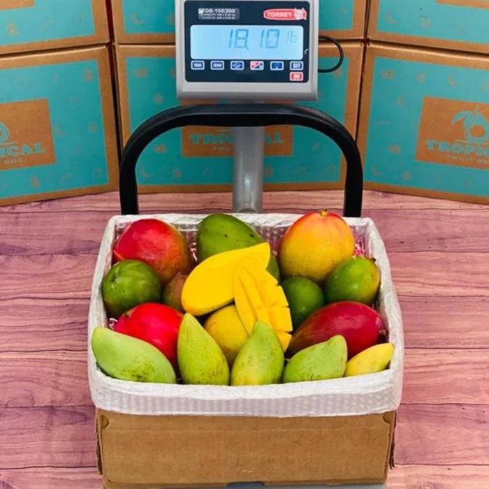 20-Pounds-Tropical-Mangos-1-1.webp