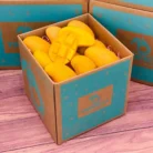ataulfo-mango1-1.webp
