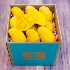 Ataulfo Mango Fruit Box