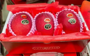 Miyazaki Mango Fruit Box | Premium Japanese Mangoes in Canada