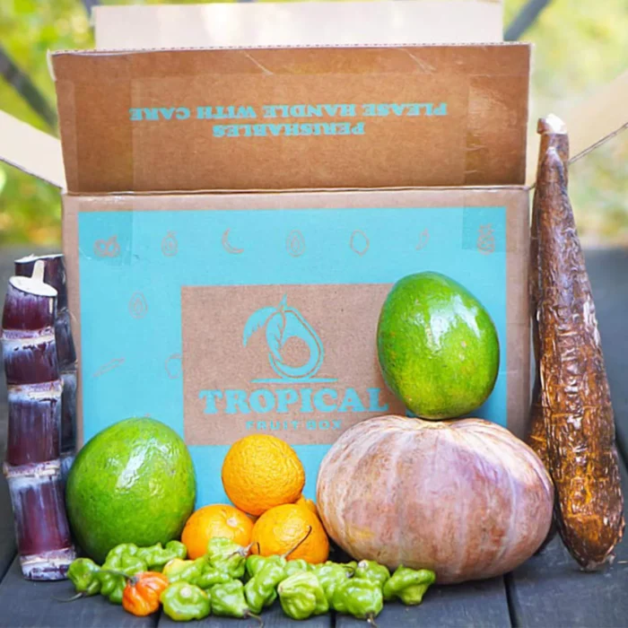 tropi-holiday-box-tropical-fruit-box-22491738570937_1280x-1.webp